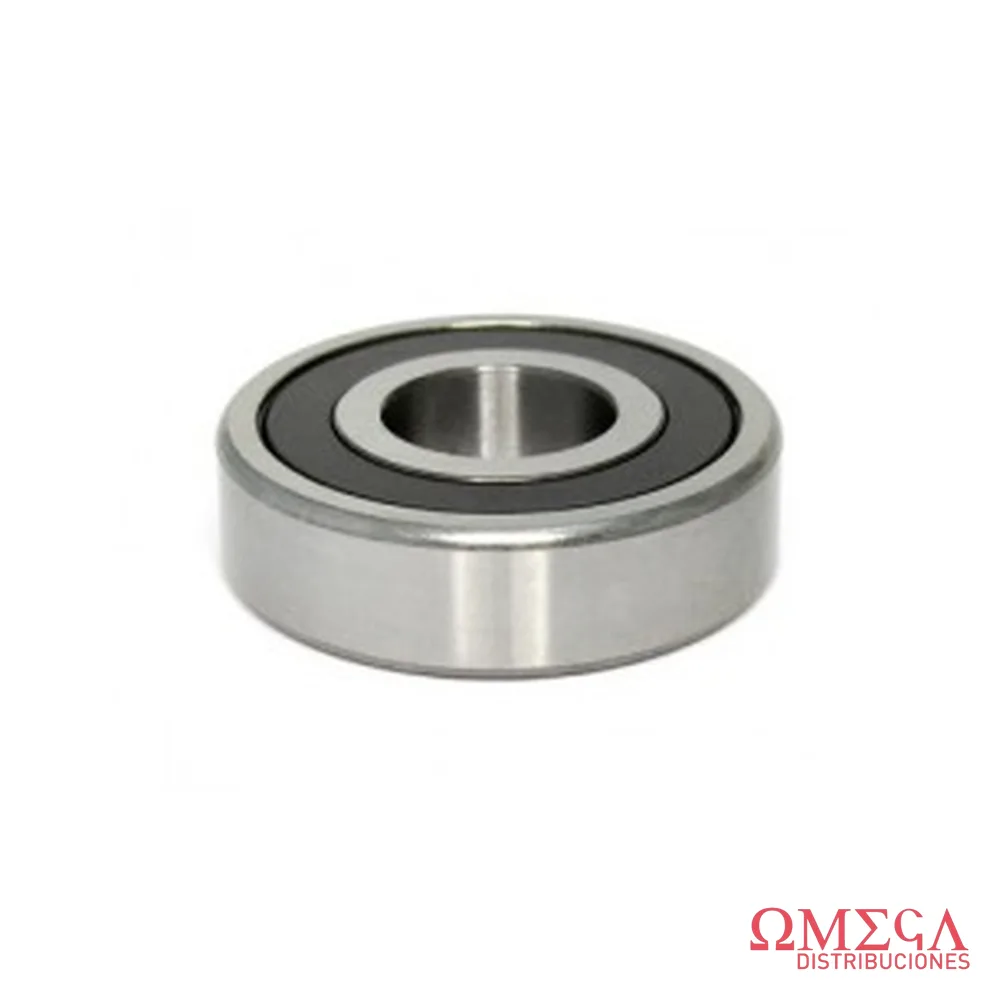 305 2rs-nsk-tm-305-a-12cg20 305