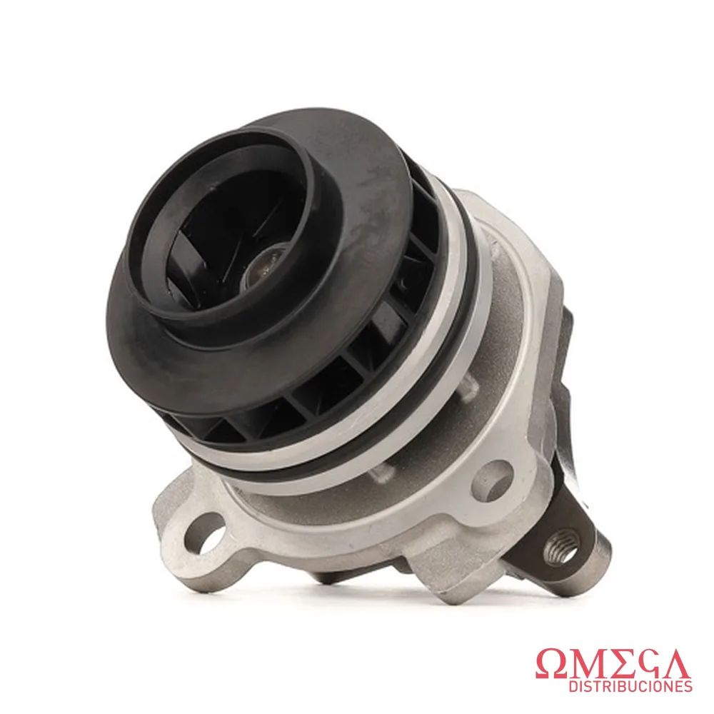 Bomba de agua SKF VKPC 86811