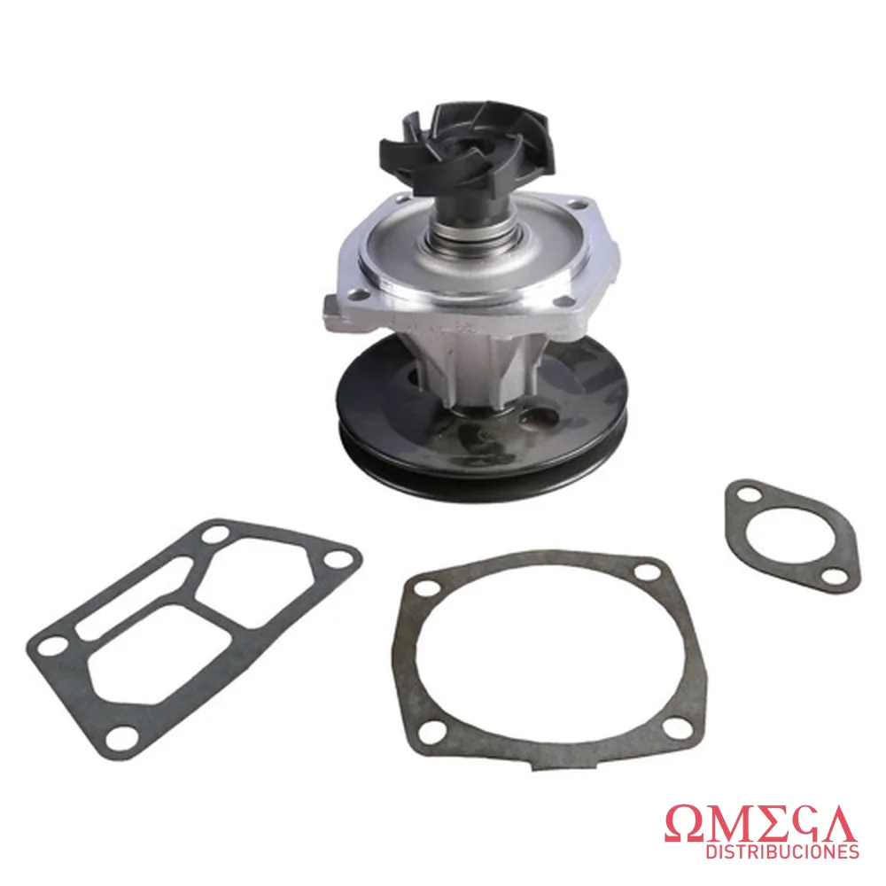 Bomba de agua SKF VKPC 82206 A