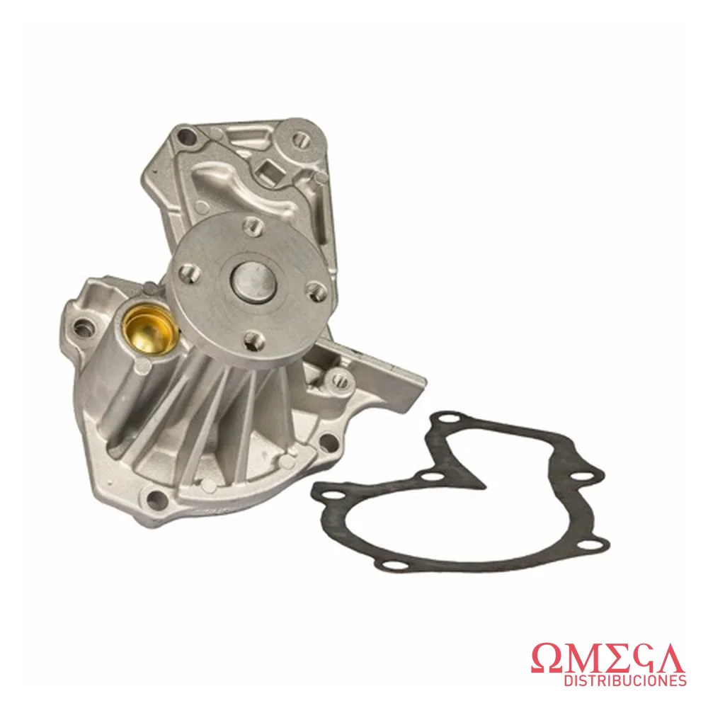 Bomba de agua SKF VKPC 84217 A