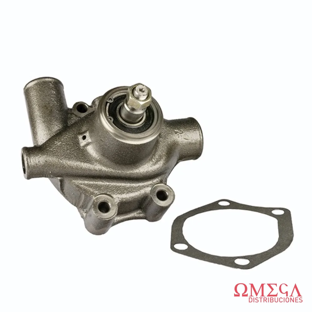 Bomba de agua SKF VKPC 89010 A