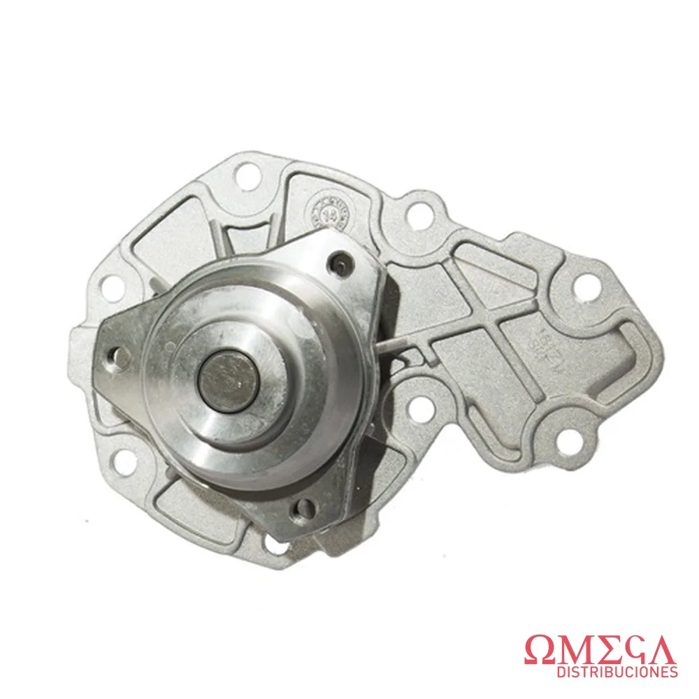 Bomba de agua SKF VKPC 84132 A