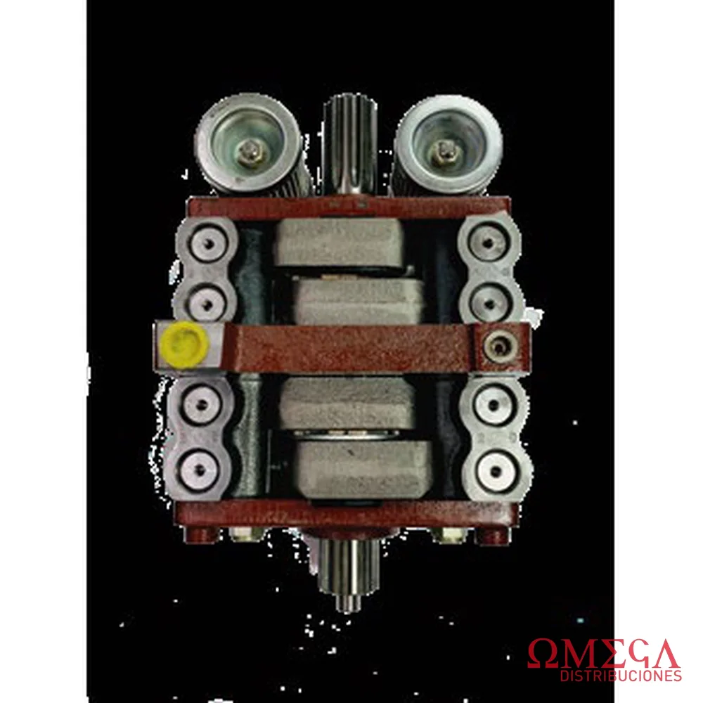 Bomba hidráulica Massey Ferguson (doble estría gruesa) 9002973 A