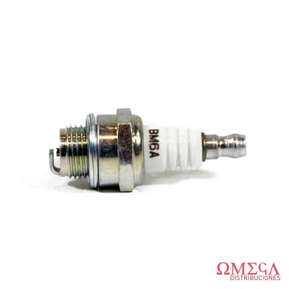 Bujía de encendido NGK (10) BM6A