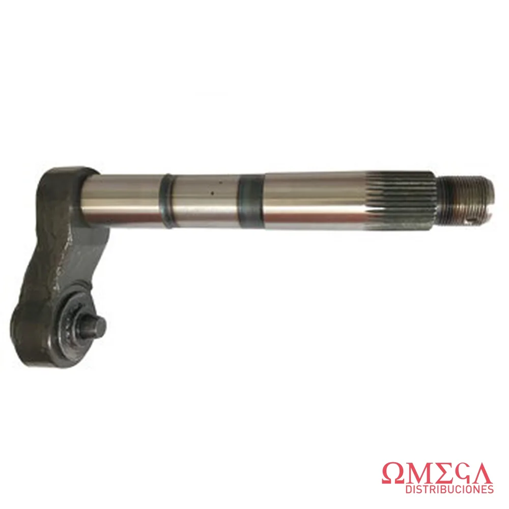 Conjunto de brazo de mando con rodamiento Massey Ferguson 1487417
