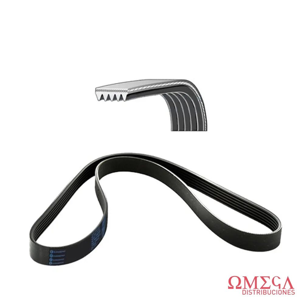 Correa micro V Eurorepar 1643046580 1643046580
