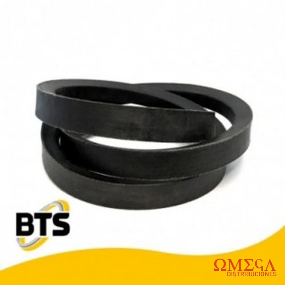 Correas agrícolas BTS canal D 3200348-BTS