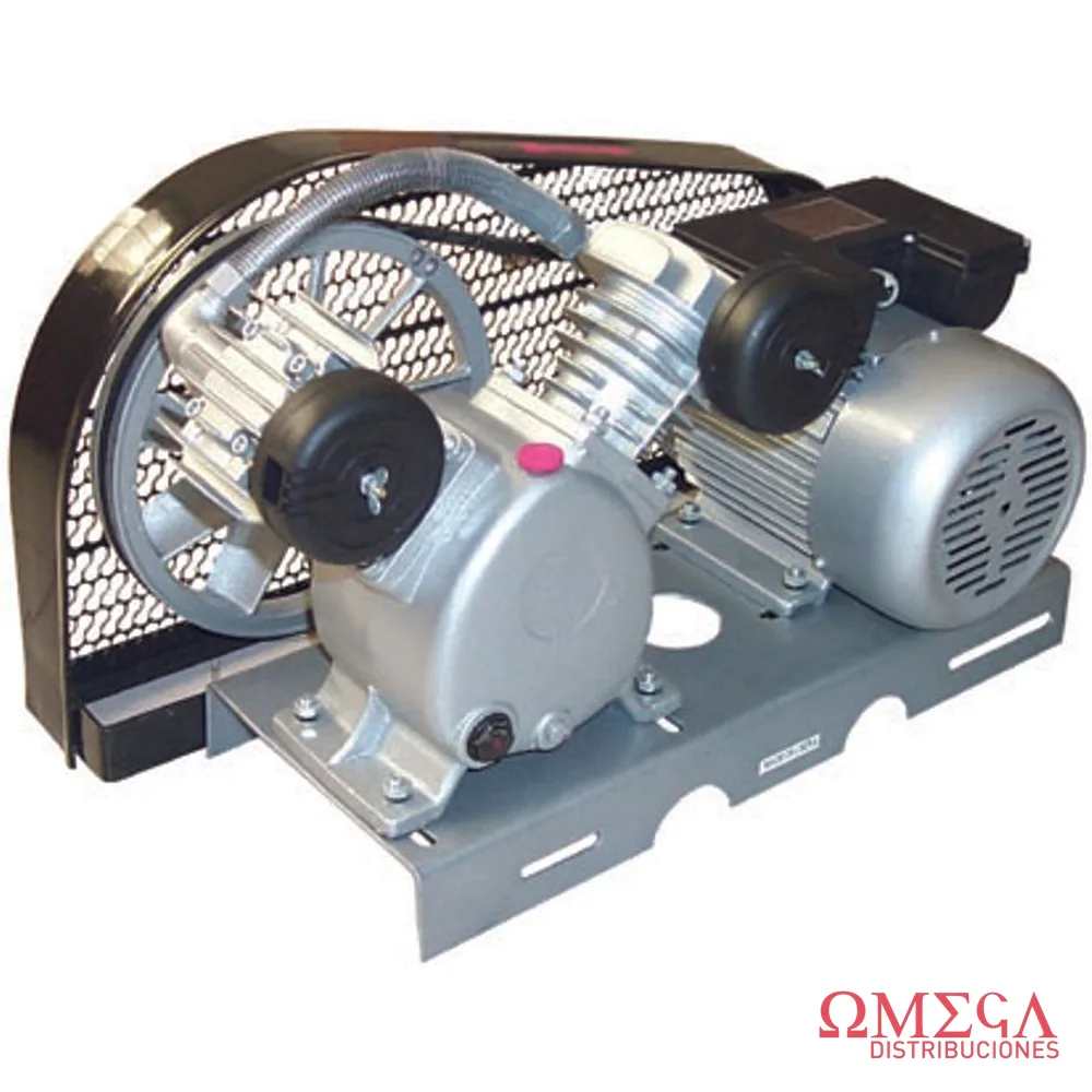 G.COMPRESOR 2.0HP-203l/m-V-220V-B/B 278208.4V