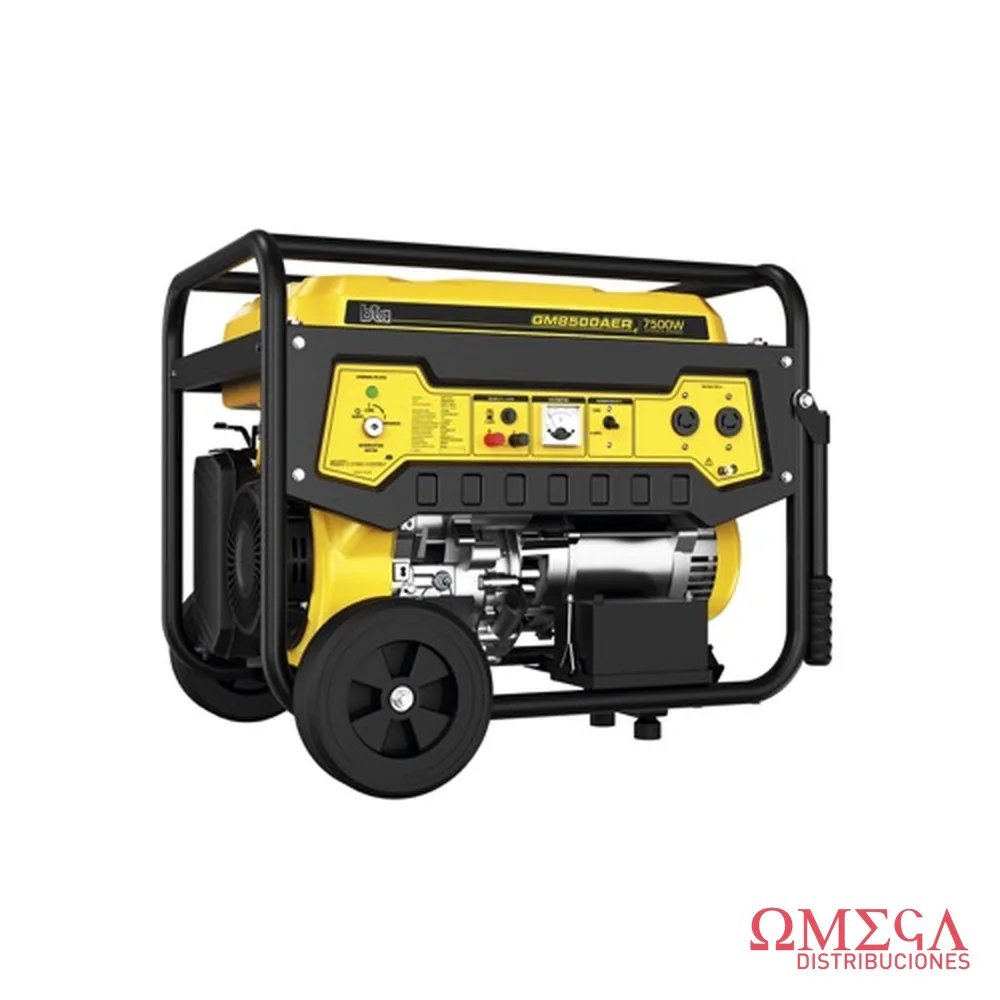 Grupo electrogeno BTA 521174 521174