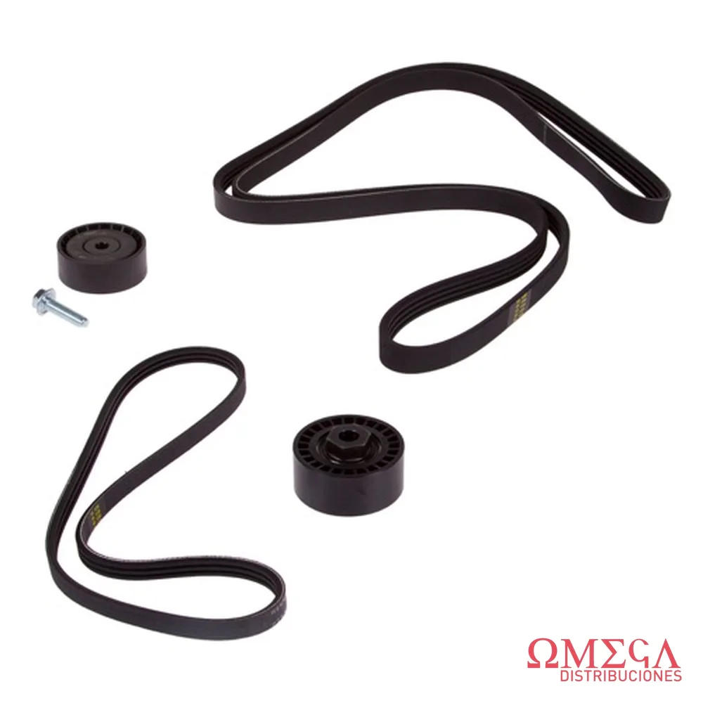 Kit de correa micro V SKF vkma 36204 A VKMA 36204 A