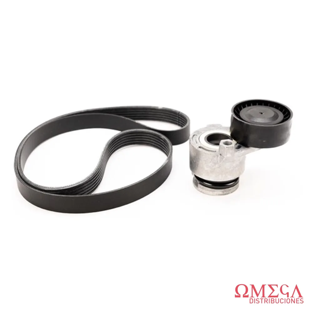 Kit de correa micro V Renault 117203694R I 117203694R I