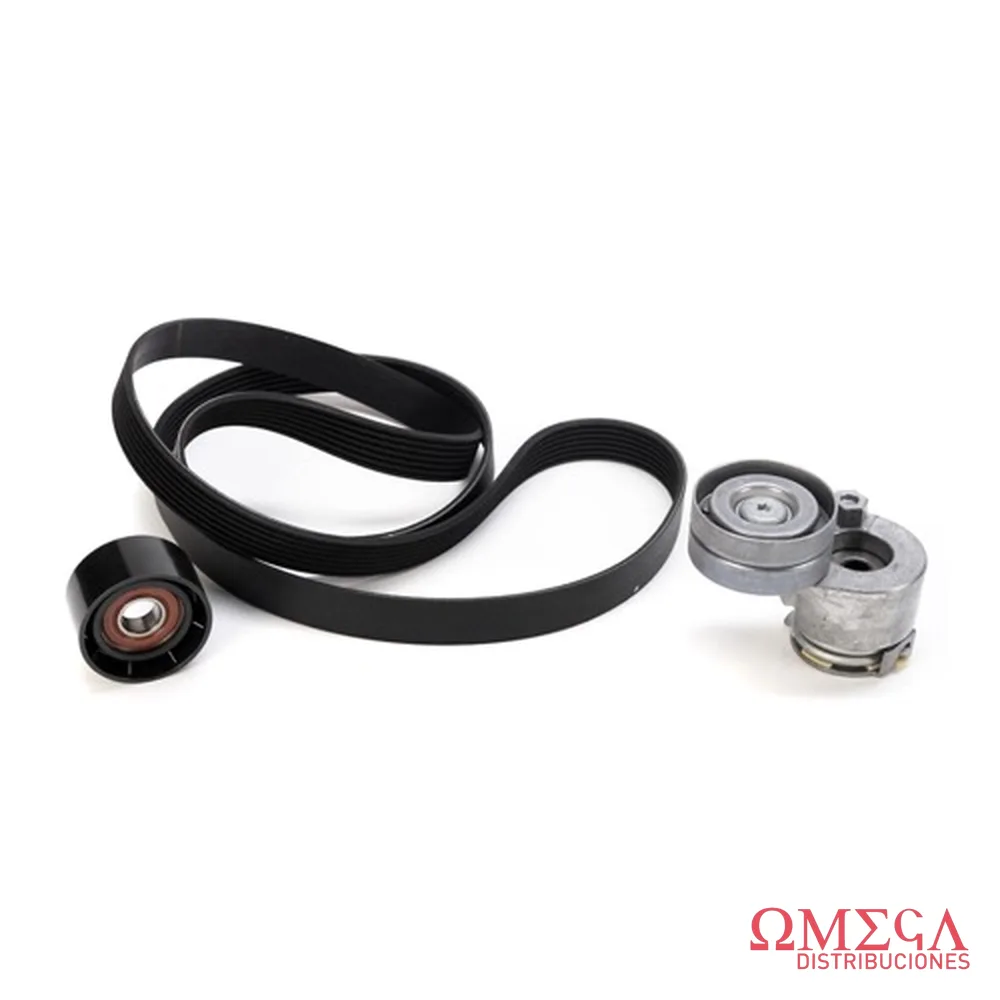 Kit de correa micro V Renault 117209732R I 117209732R I