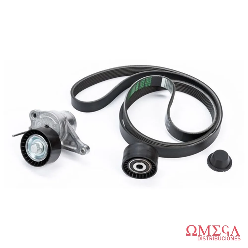 Kit de correa micro V Renault 7701476645 I 7701476645 I