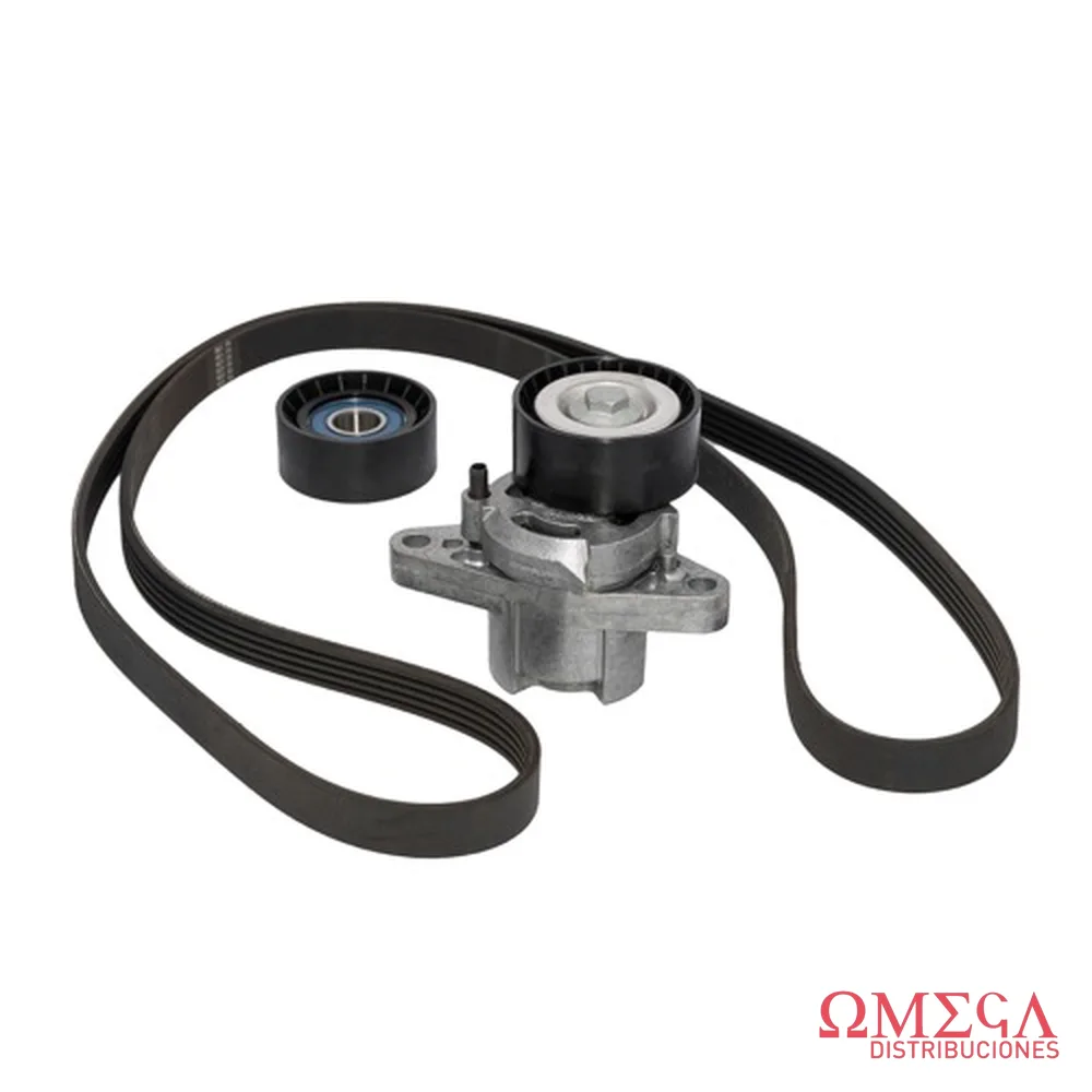Kit de correa micro V SKF vkma 36200 A VKMA 36200 A