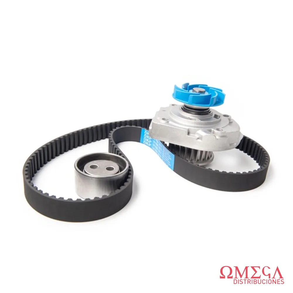 Kit de distribución + bomba de agua SKF VKMC 02206 A