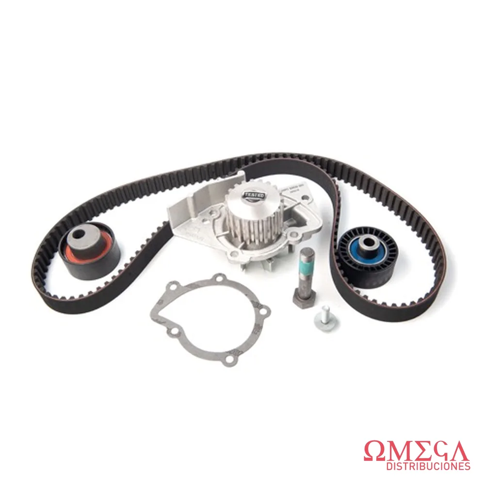 Kit de distribución + bomba de agua SKF VKMC 03247