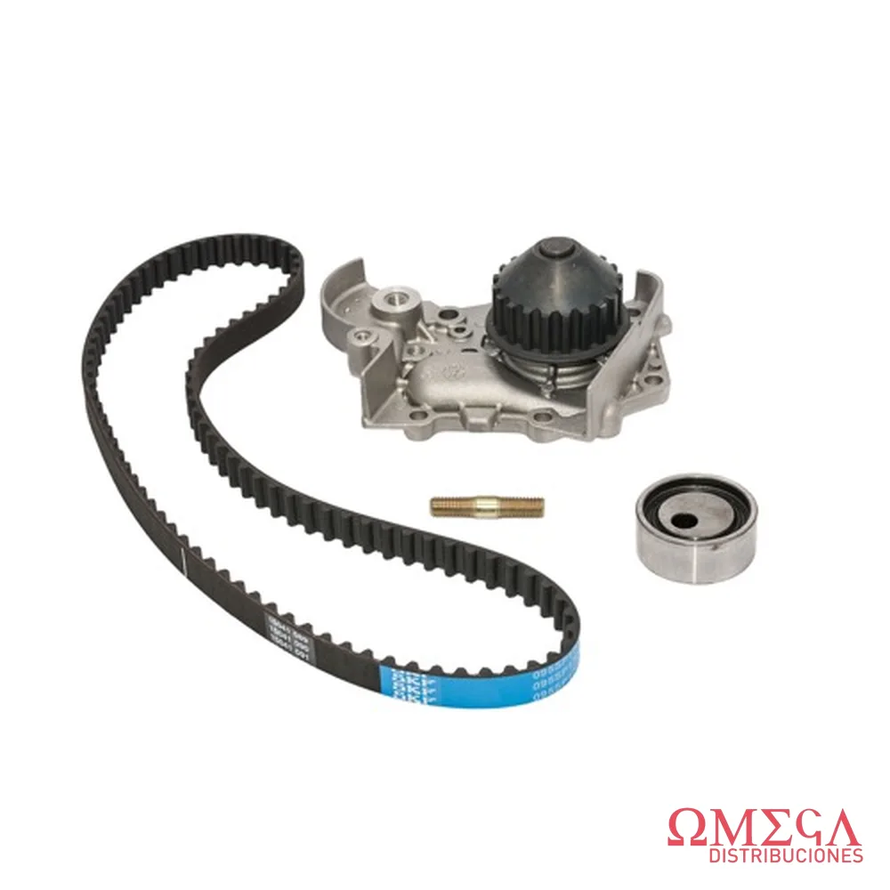 Kit de distribución + bomba de agua SKF VKMC 06000 A