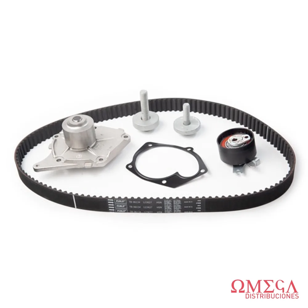 Kit de distribución + bomba de agua SKF VKMC 06134-1