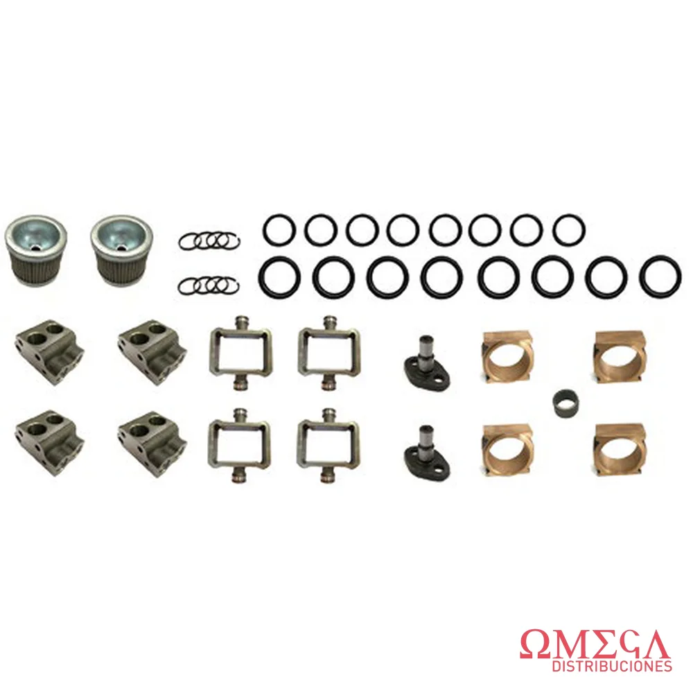 Kit de reparación de bomba doble Massey Ferguson R9002973