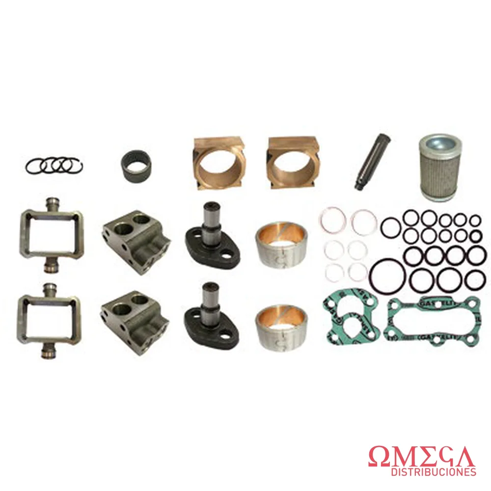 Kit de reparación de bomba simple Massey Ferguson R1661616