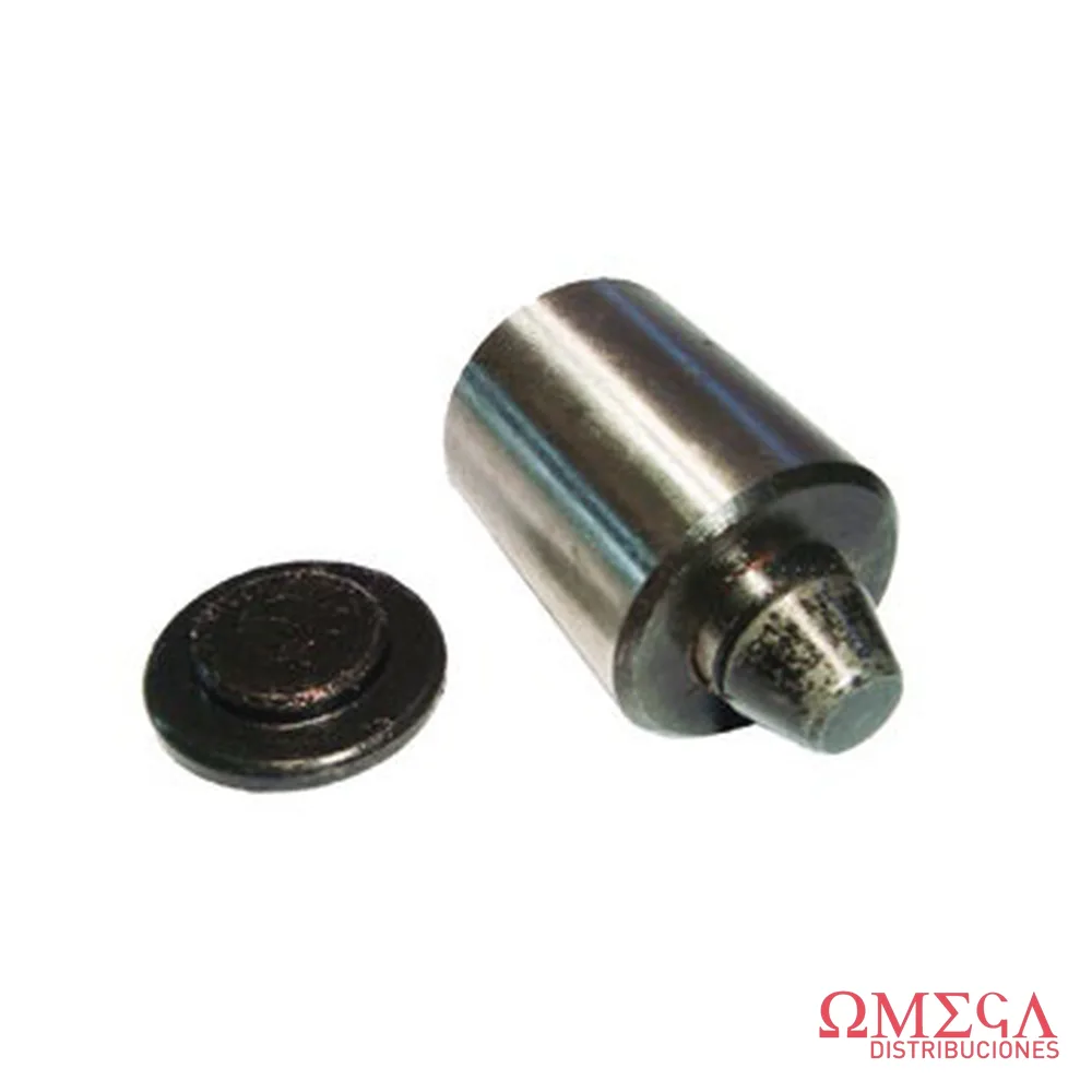 Pivote de dirección completo Massey Ferguson Brasilero 1489749