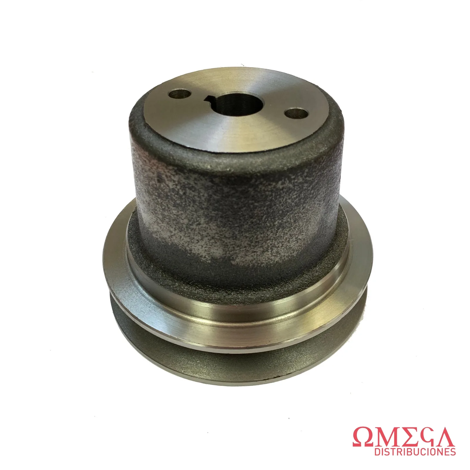 Polea de bomba de agua Fiat 8304270