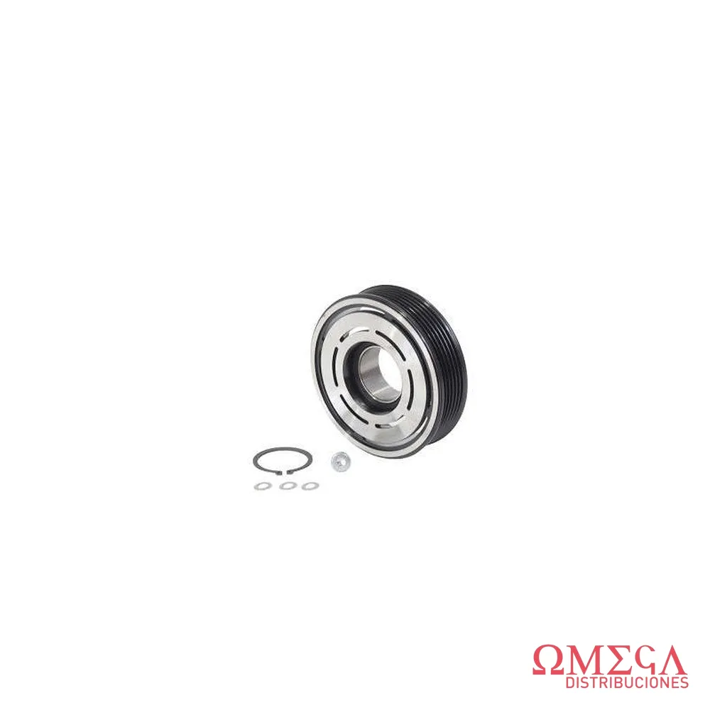 Reparación de compresor de aire acondicionado de polea Mahle ACP202 ACPX35