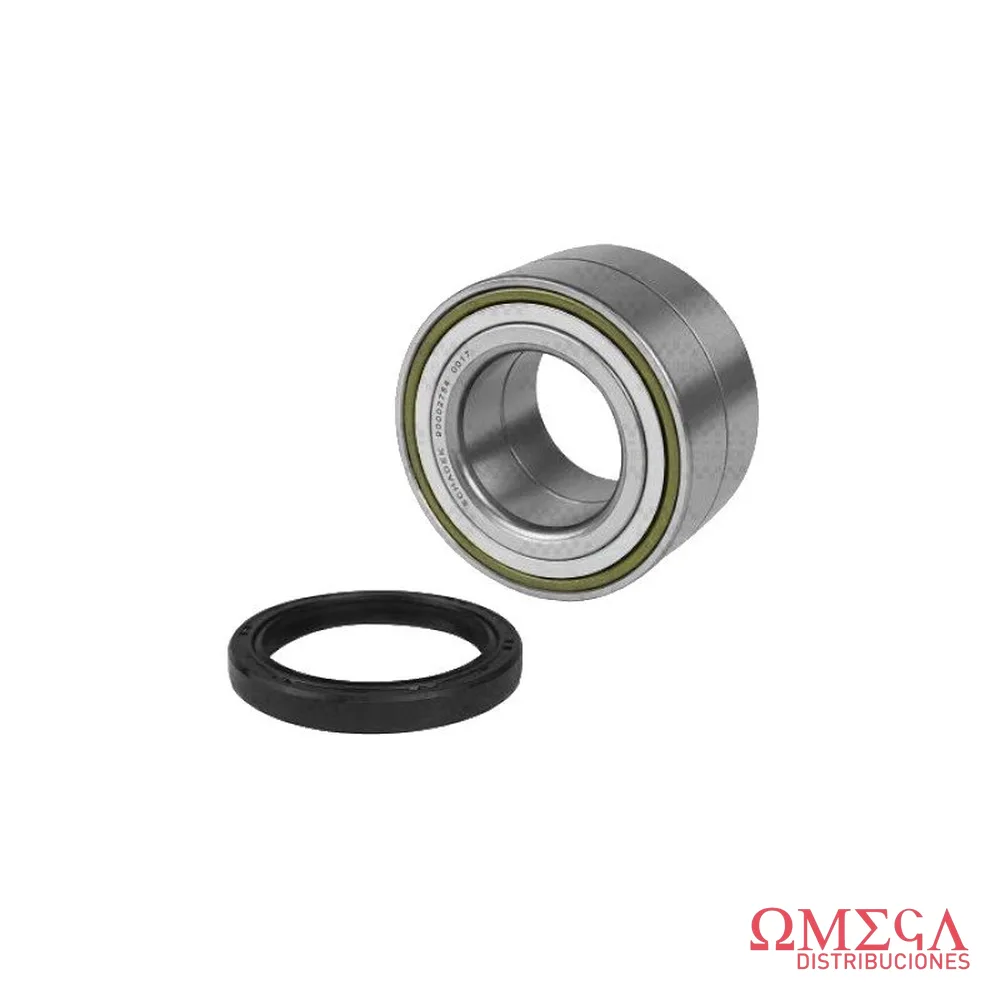 ROD.RENA.CLIO RDA.DEL. 50048
