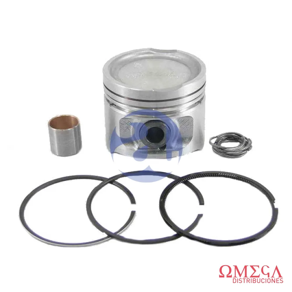 Subconjunto Mahle — Fiat Palio 1.3MPI S25980 04