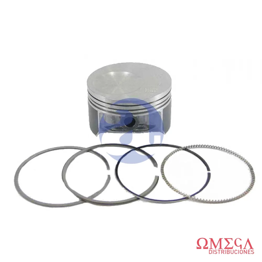 Subconjunto Mahle — Ford Ecosport 1.6 S59570  05