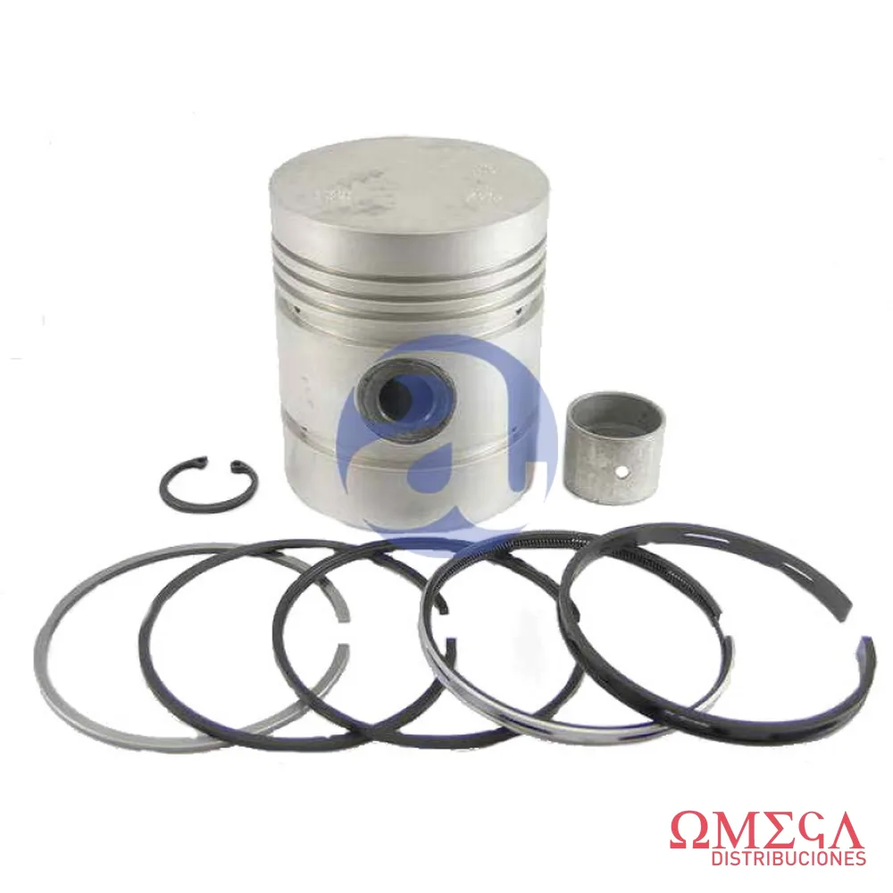 Subconjunto perk.6-305 Mahle S57150  STD