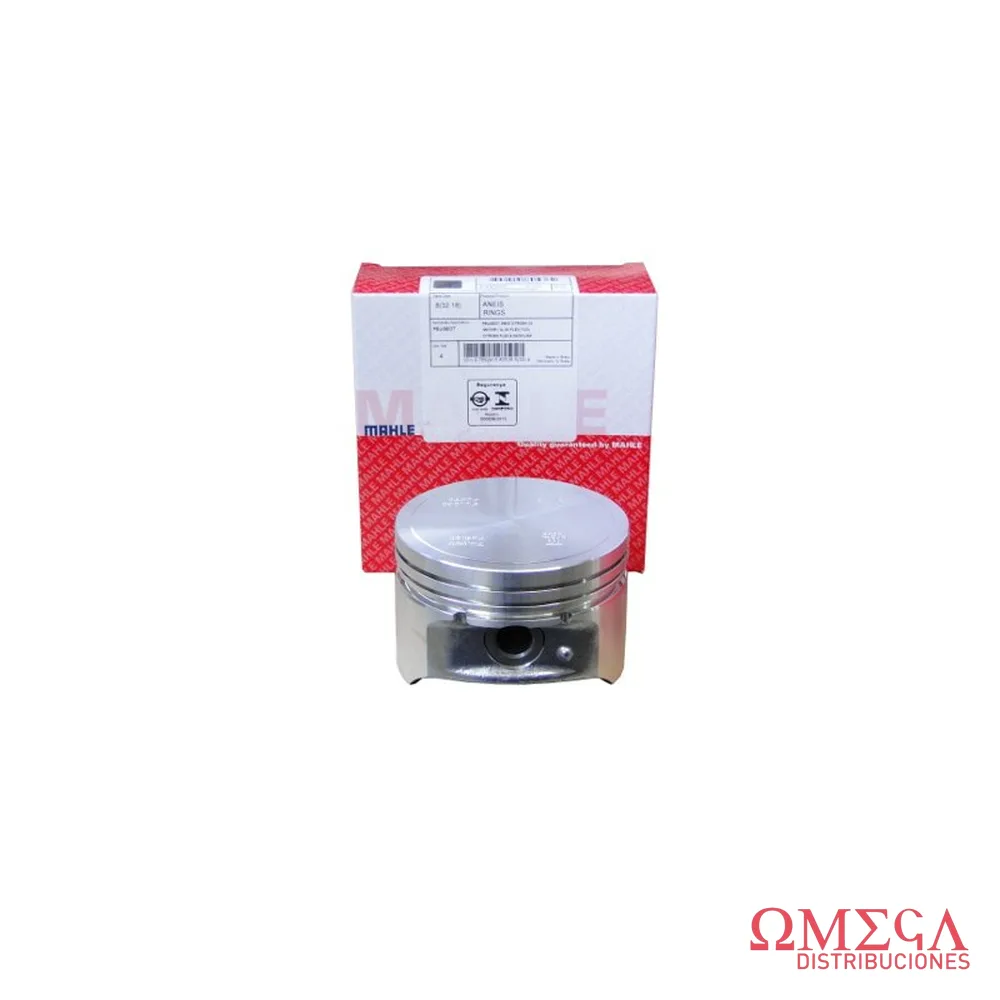 Subconjunto de motor Mahle — Peugeot 206 1.4-8V S44060  STD