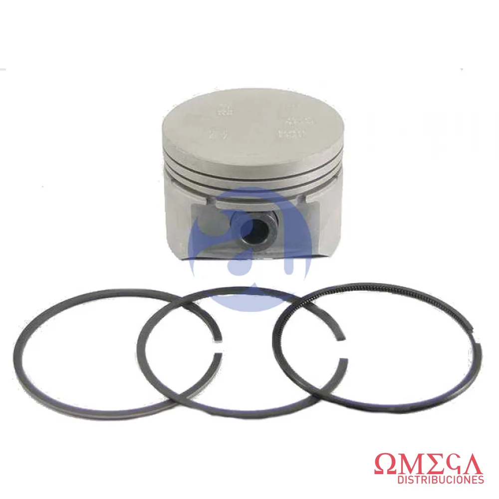 Subconjunto Mahle — Peugeot 307-TU5JP4 S44000  STD