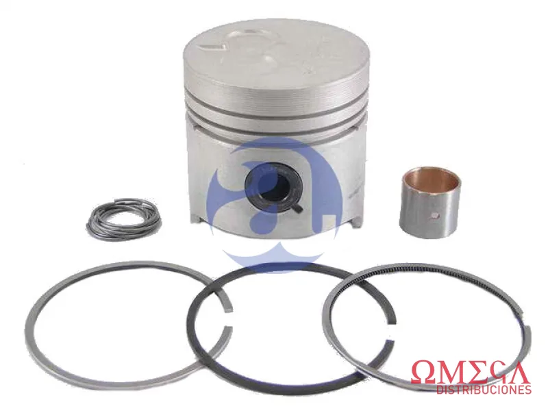 Subconjunto Mahle — Peugeot 405 diésel S44200  05