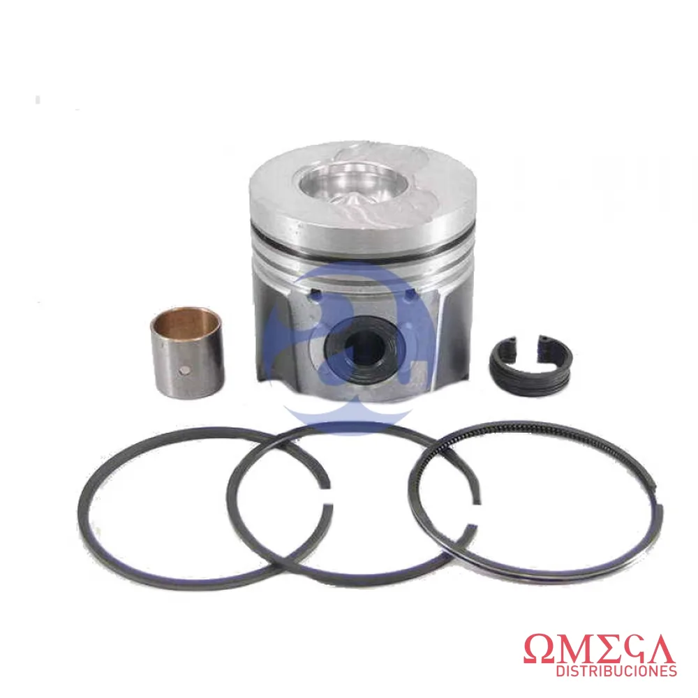 Subconjunto Mahle — Renault R19, motor F9QT S18200  STD