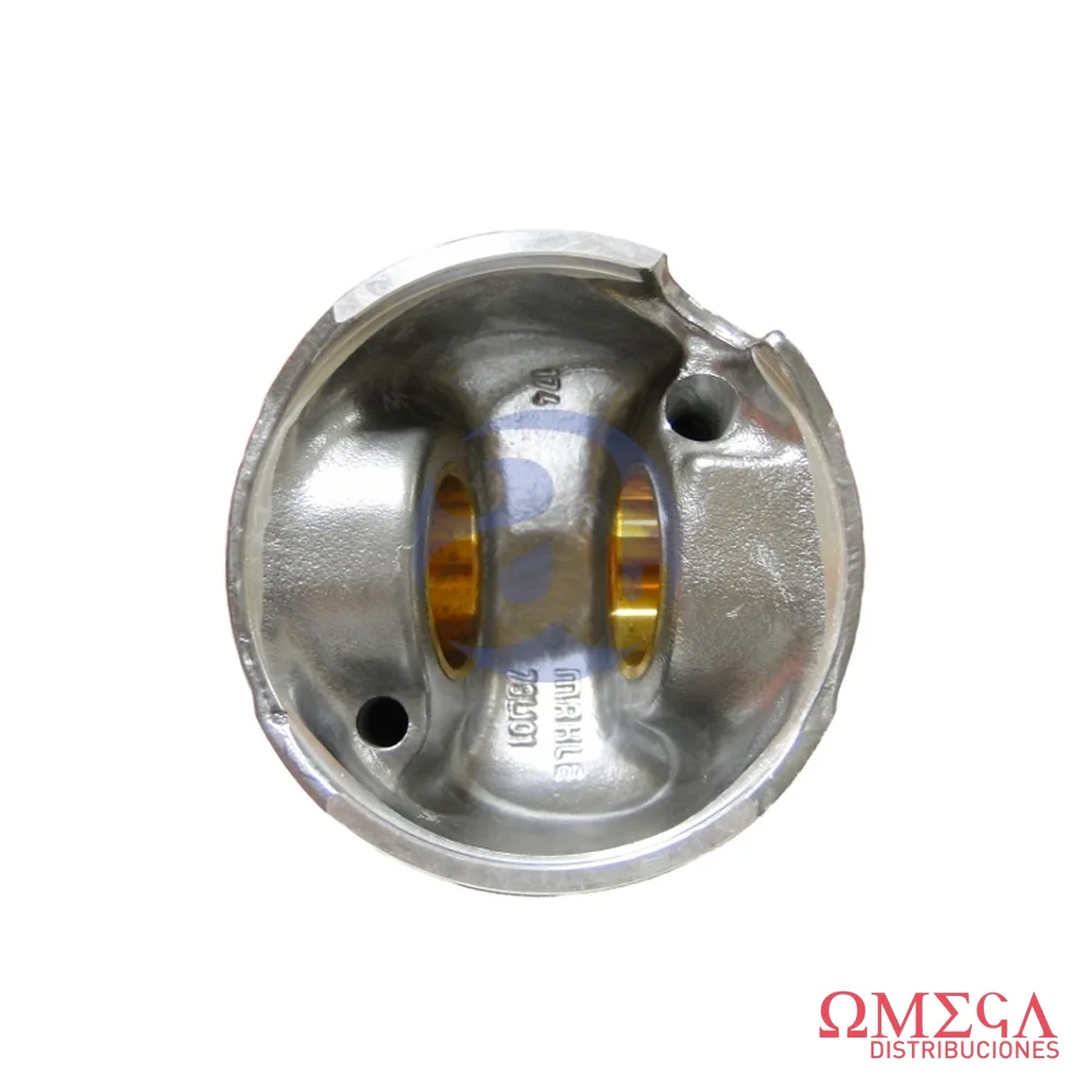 Subconjunto Mahle — Volkswagen Bora 1.9TDI con canal S70260  05