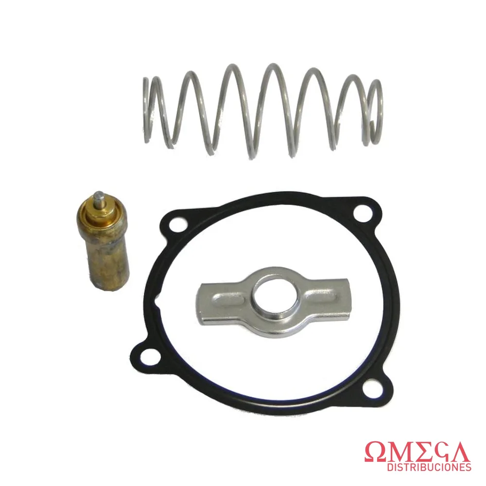 Termostato Mahle — Iveco Cursor 13 TX5179D