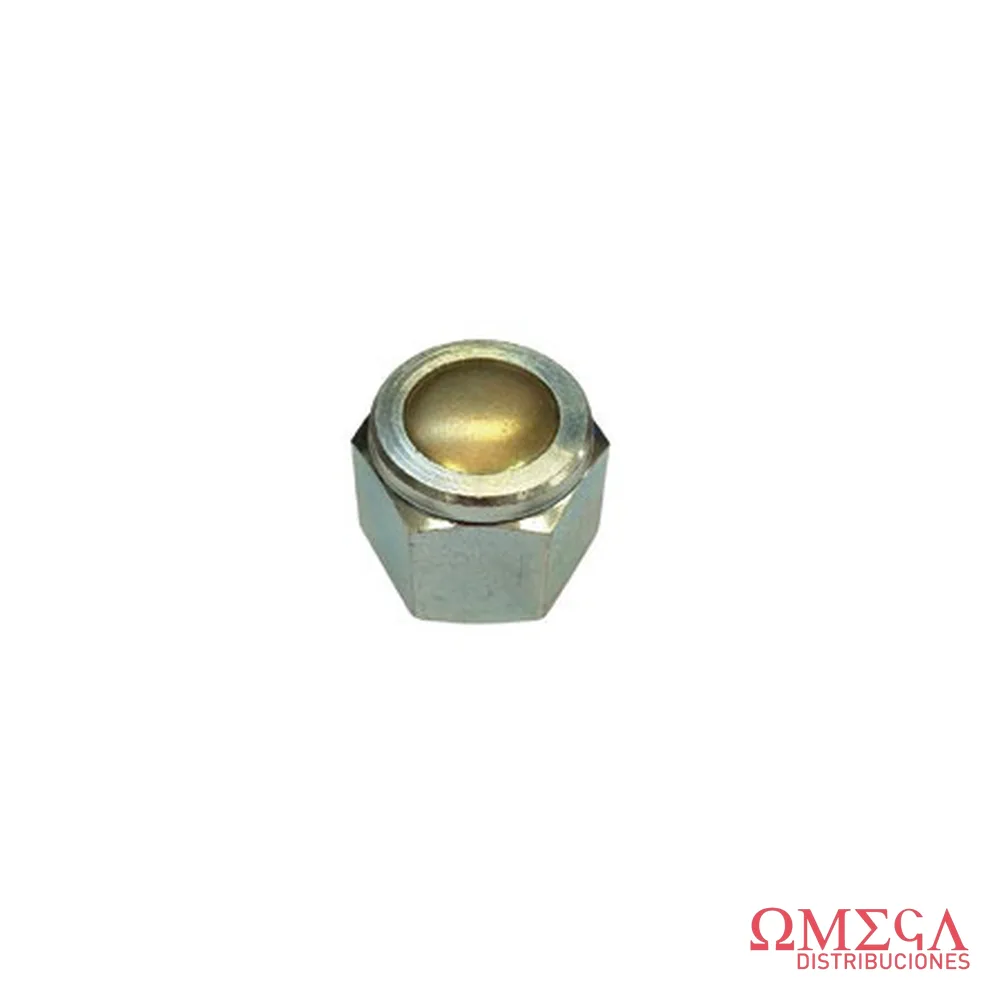 Tuerca de tapa de cilindro Fiat 554063