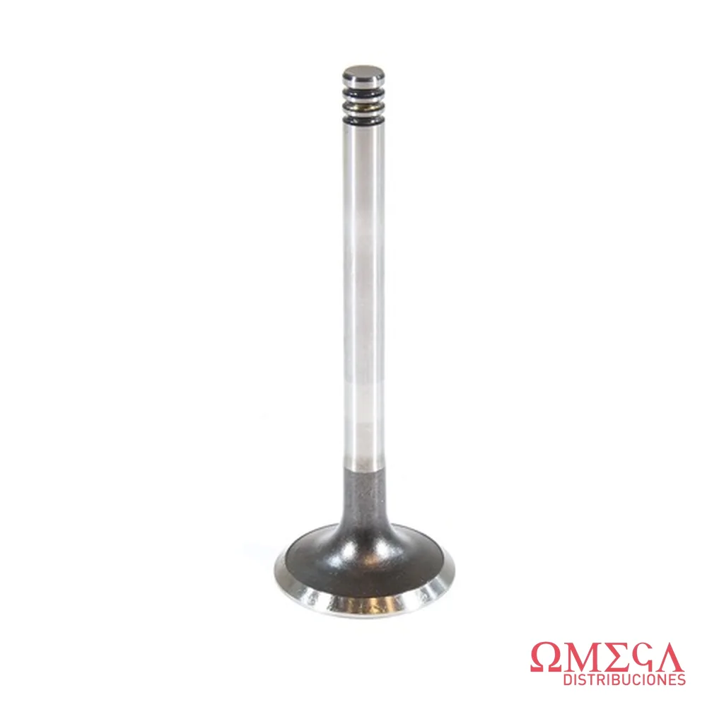 Válvula de motor Mahle 26228 A